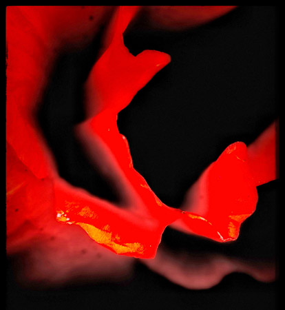 <div></div>